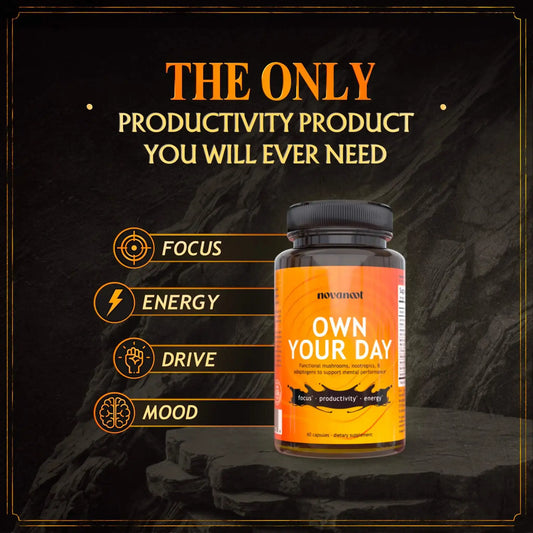 productivity, focus, energy, drive, mood, functional mushrooms, nootropics, adaptogens to support mental performance